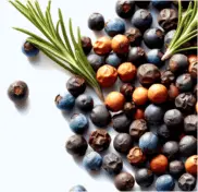 Juniper berries